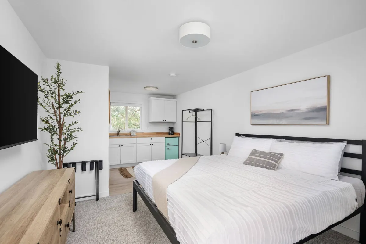 A view of the interior showing a multifunctional living space with a bed, television, kitchen area, and a decorative plant. The kitchen area is visible from another angle, giving a sense of how seamlessly it integrates with the rest of the room, while the overall ambiance is cozy and relaxed.